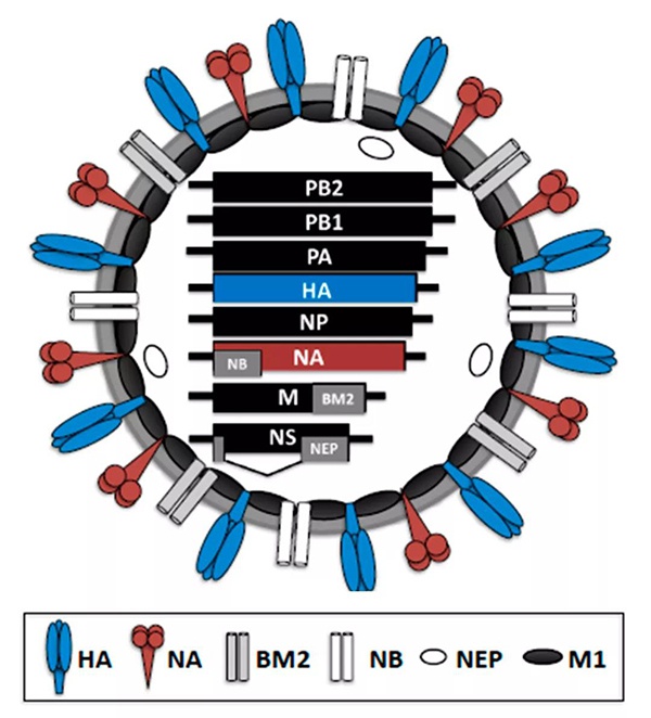 1610687635227556.jpg ΢ÐÅͼƬ_20210115131122.jpg